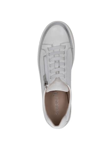 Caprice Sneaker in WHITE SOFTNAP.