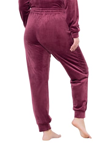 Ulla Popken Loungewear Hose in dunkle beere