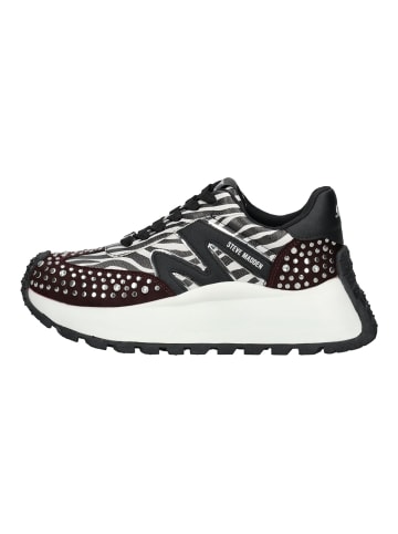 Sneaker Zebra