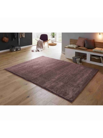 Astra Hochflorteppich SAVONA in Aubergine