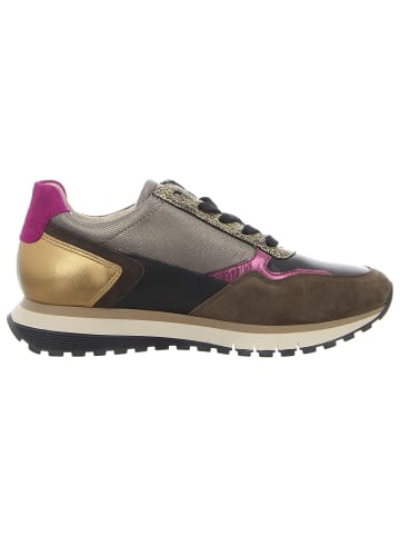 Gabor Sneaker für Damen in braun