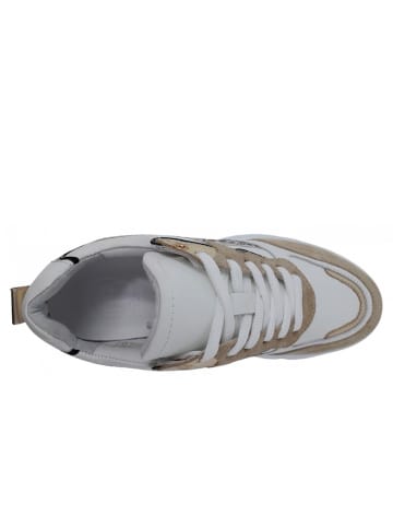 POELMAN Sneaker  in Beige