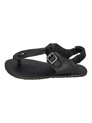 KOEL Sandalen ARIATA in schwarz