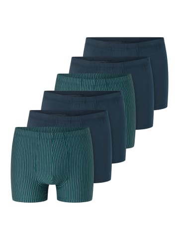 Schiesser Retro Short / Pant 95/5 Essentials - Organic Cotton in Dunkelblau / türkis