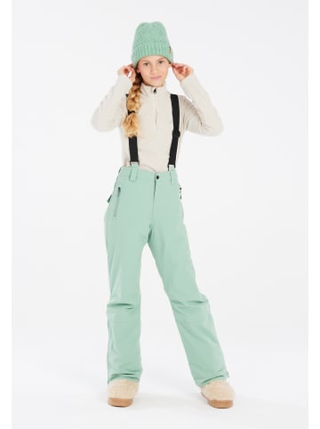 Protest " SUNNY JR in Green Baygreen