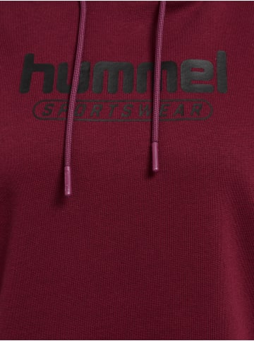 Hummel Hoodie Hmlbooster Woman Hoodie in CABERNET