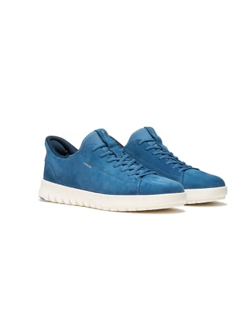 Geox Sneakers Low U Flextride plus in blau