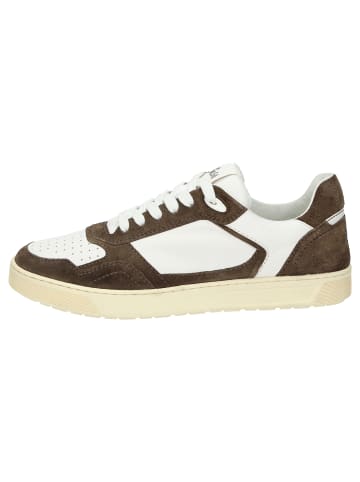 Sioux Sneaker Tedroso-704 in braun