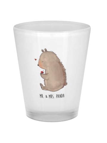 Mr. & Mrs. Panda Schnapsglas Bär Marienkäfer ohne Spruch in Transparent