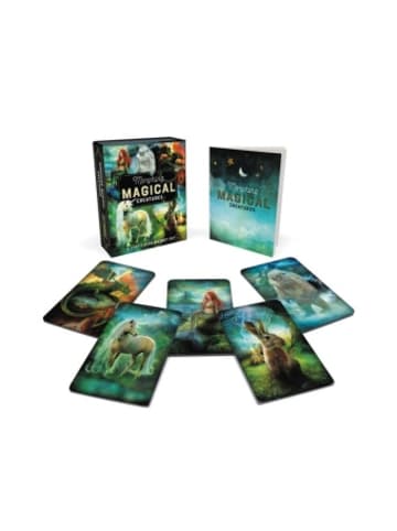Little, Brown Book Group Buch - Morphing Magical Creatures