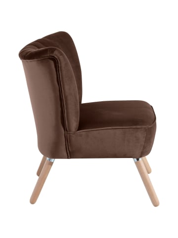 58 aufm Kessel SESSEL Kadisha Bezug Samtvelours Buche natur / braun