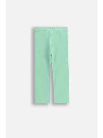 Coccodrillo Leggings mit langem Hosenbein in grün