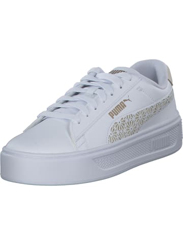 Puma Schnürschuhe in white/pris