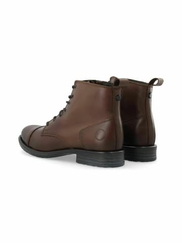 Cashott Stiefeletten CASEMMA in Dark Brown