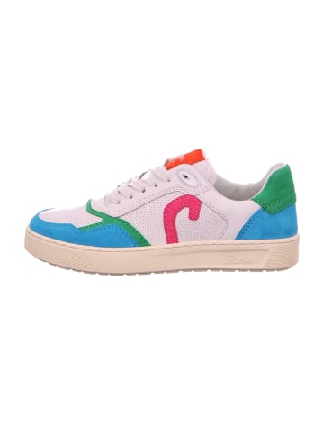 Sioux Sneaker Low in Bunt