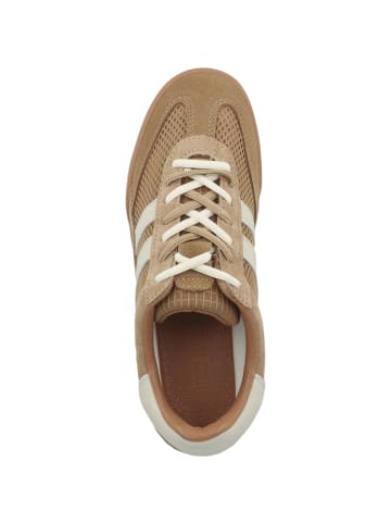 Steve Madden Sneaker low Verdict in hellbraun