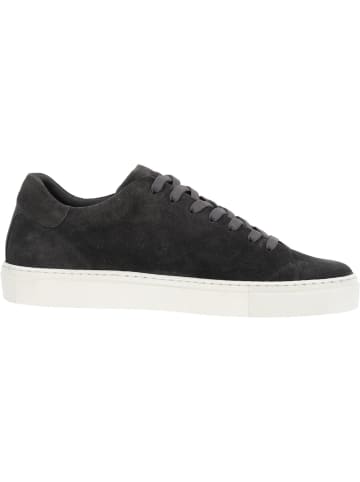 palado Sneakers in grey