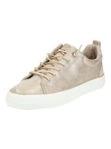 Mustang Sneaker in Champagner