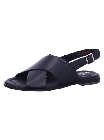 Pikolinos Pantolette in schwarz