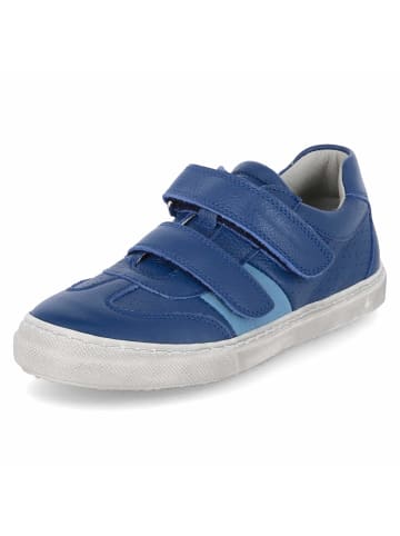 Däumling Low Sneaker BJARNE in Blau