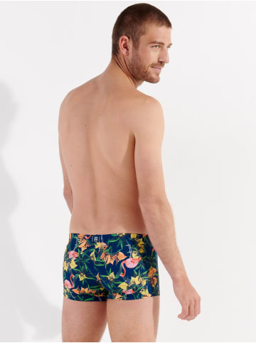 HOM Badeshorts Flamingo in navy print