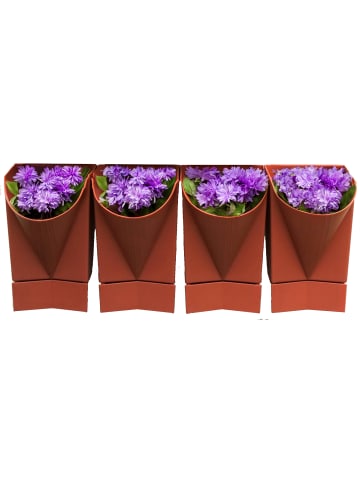 VCM  4x Wandgarten Hängegarten Blumentopf Blumenkasten in Terracotta