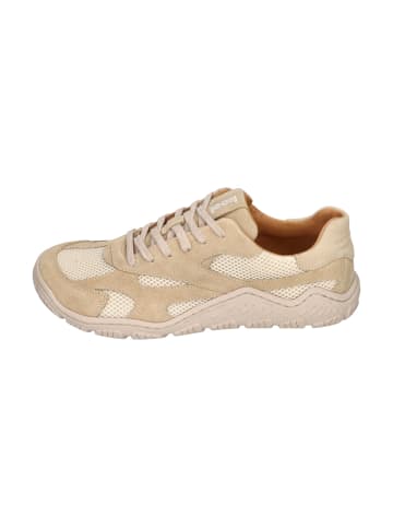 KOEL Sneaker Low RITA SUEDE in natur