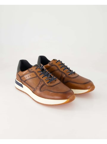 Sioux Sneaker low in Braun