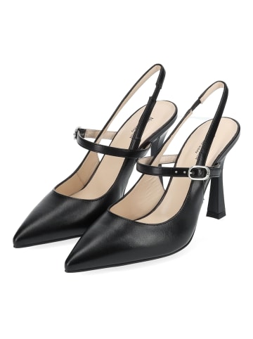 Nero Giardini Pumps in Schwarz