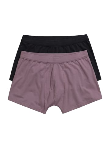 JP1880 Pants in mauve