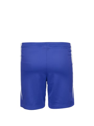 Nike Performance Funktionsshorts Team Basketball Stock in blau / weiß