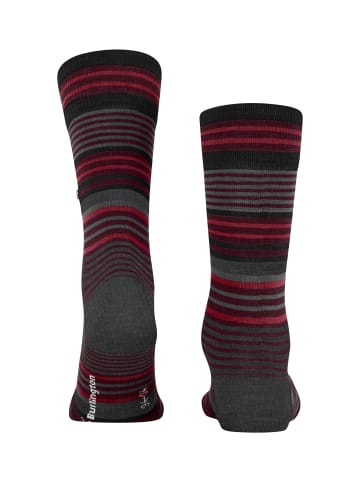 Burlington Socken Stripe in Oxford
