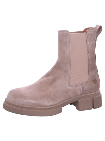 Apple of Eden Chelsea Boot in Beige