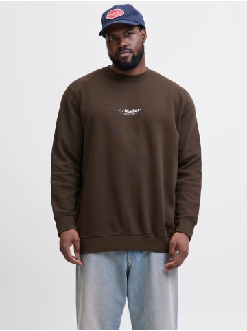 JACK & JONES PLUS Sweatshirt in Delicioso