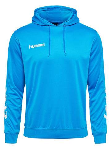 Hummel Hummel Kapuzenpullover Hmlpromo Fußball Herren in DIVA BLUE