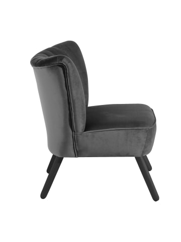 others SESSEL Kadisha Bezug Samtvelours Buche schwarz lackiert / anthrazit