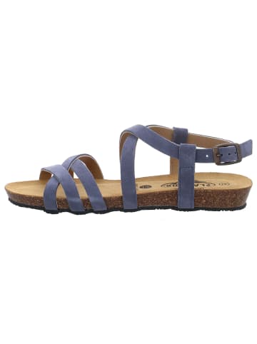Plakton Sandalen in grau