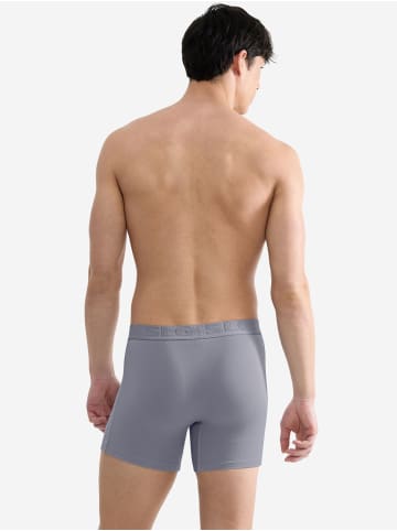 Sloggi Langer Boxer Base Soft in Morandi Grey