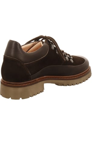 Werner Schnürschuhe in braun