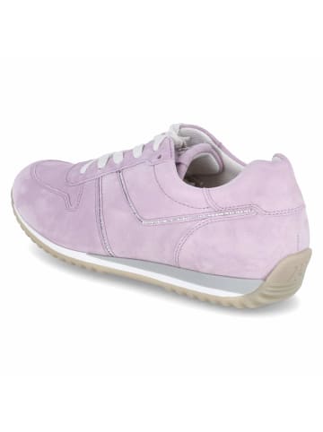 Paul Green Low Sneaker in Violett