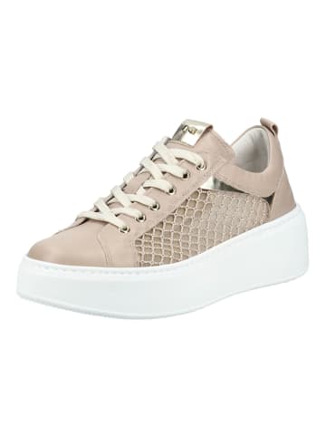 Nero Giardini Sneaker Beige