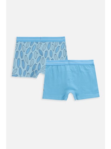 Coccodrillo Slip für Jungen in bunt