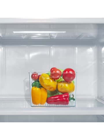 relaxdays Kühlschrank-Organizer in Transparent - (B)21 x (H)15,5 x (T)21 cm