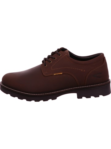 Camel Active Sneaker in braun
