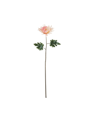 Butlers Chrysantheme Länge 68cm FLORISTA in Pink