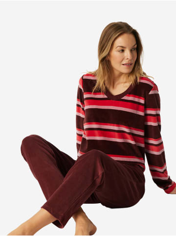 Schiesser Pyjama Comfort Nightwear in burgund