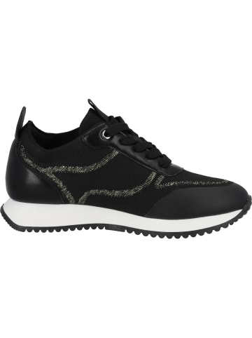 palado Sneakers Low in BLACK