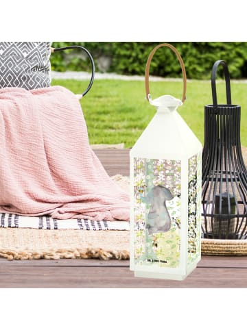 Mr. & Mrs. Panda Laterne Elefant Biene ohne Spruch in Transparent