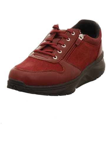 Joya Sneaker in rot