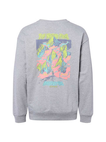 The North Face Sweatshirt in hellgrau